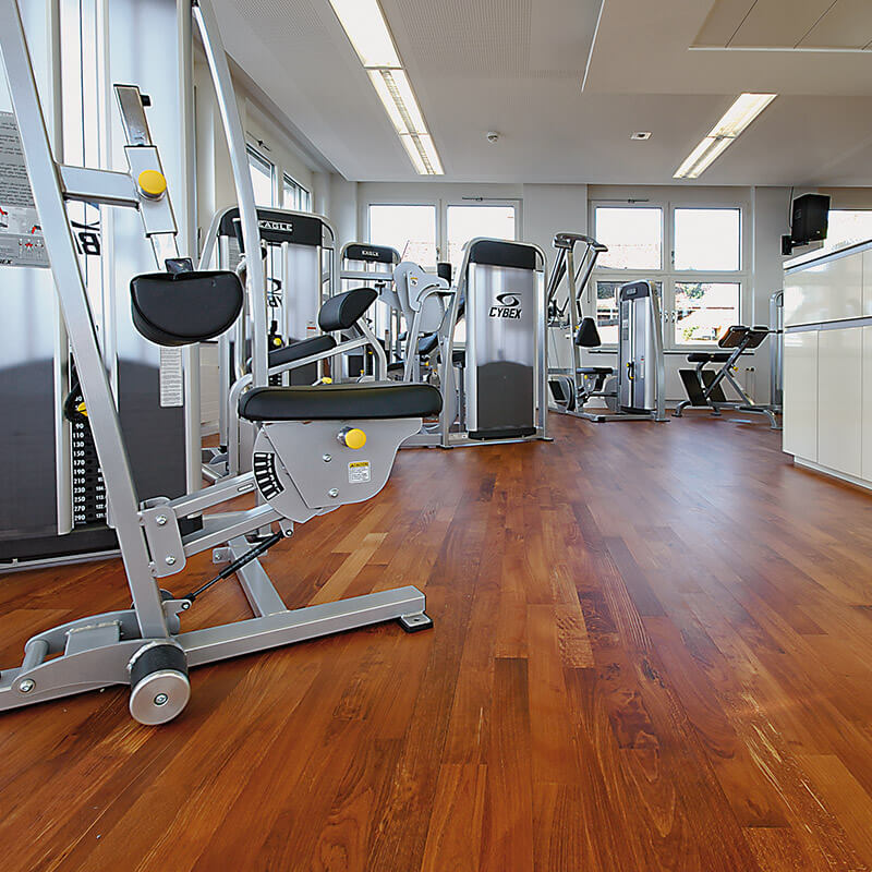 Holzpunkt JU Buche 

SylvaRed